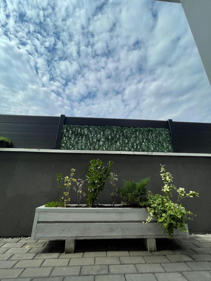 Voyage Cubic Adults Only Apartment Сибиу Екстериор снимка